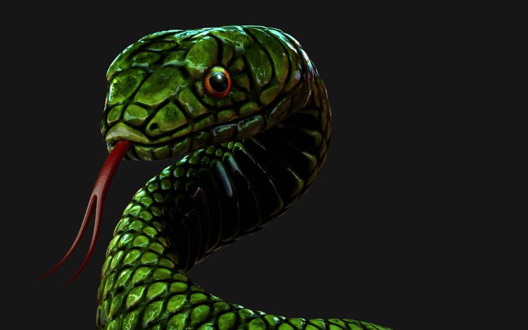Cabeza de una serpiente verde, personaje del mito Chuqir Qamir Wirnita 